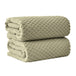 Desert Sage Green