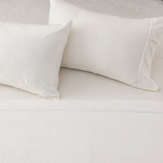 Velvet Plush Warm and Cozy Sheet Set