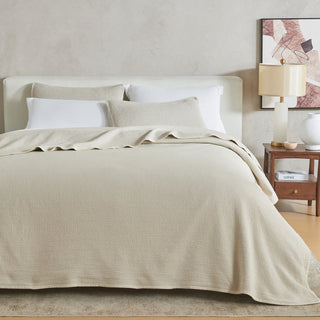 3 Piece Stonewashed Solid Quilt Set - Anaya Collection