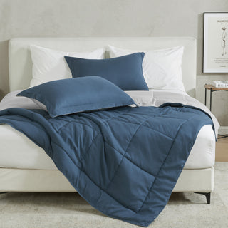 Reversible Down Alternative Comforter Set