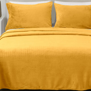 4-Piece Solid Plush Sheet - Velvet Luxe Collection