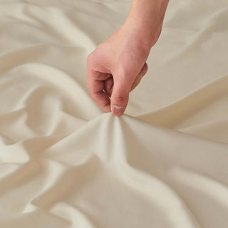 4 Piece Rayon Derived from Bamboo Sheet Set - Jordyn Collection