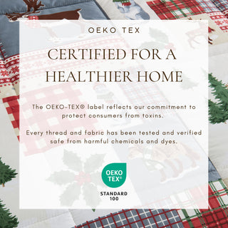 Christmas Down Alternative Comforter and Sham Set