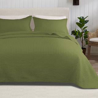 3-Piece Solid Quilt - Fiona Collection