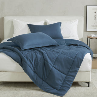 Reversible Down Alternative Comforter Set