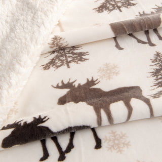 Velvet Plush Fleece Reversible Sherpa Warm and Cozy Blanket