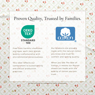 Premium Turkish Cotton Holiday Printed Flannel Sheet Set
