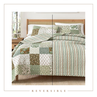 Paisley Patchwork Lodge Quilt Set with Shams